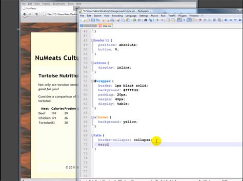 Styling Table CSS 的图像结果