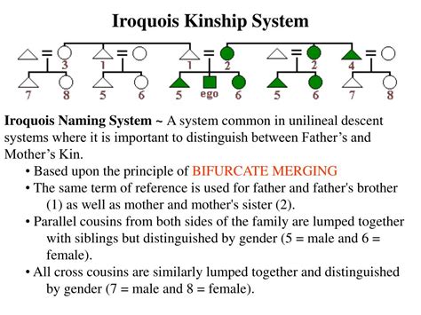 Kinship System