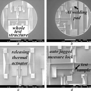 Image result for Test Structure