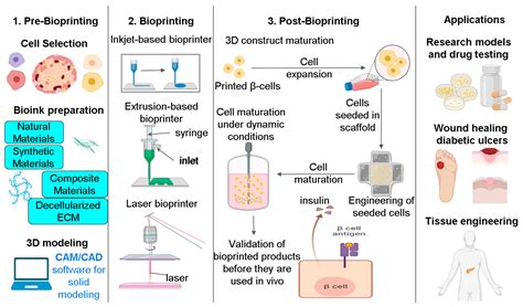 New Frontiers in Three-Dimensional Culture Platforms to Improve ...