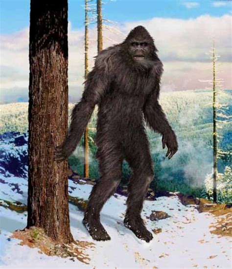Image result for Bigfoot Found Alive