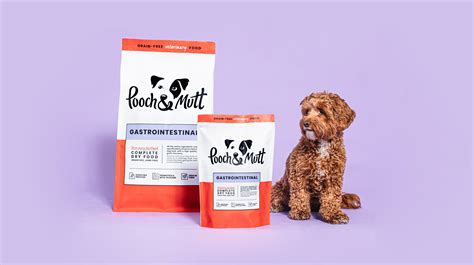 Should You Feed Your Dog A Grain Free Diet
