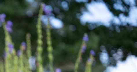 Image result for Bodywork Colorado 300 User Programs