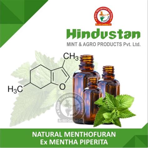 Manufacturer Exporter of Menthol & Mint Allied Products India USA