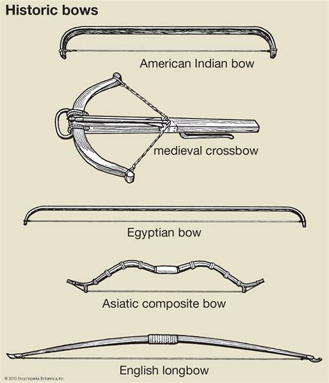 Kinds Of Bows