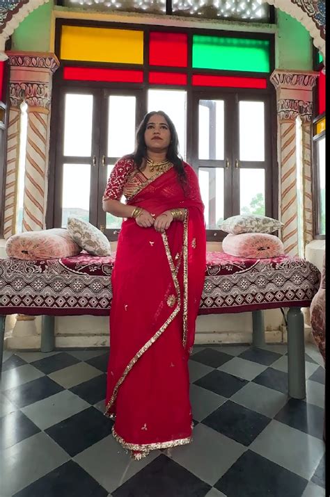 Diya Red Hand Embroidered Organza Saree – House of Baisa