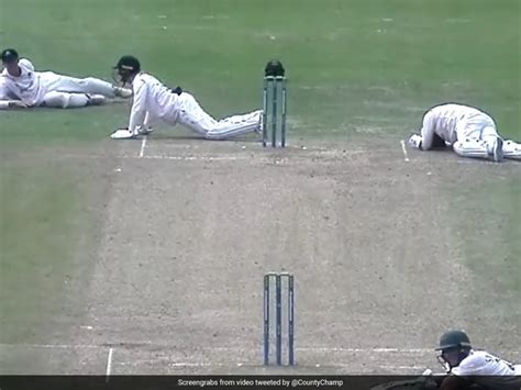 Video: जब मधुमक्खियों ने एक क्रिकेट मैच को बीच में रोका, देखें कैसे ...