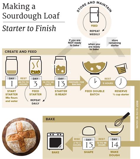 How to feed and maintain a sourdough starter – Artofit