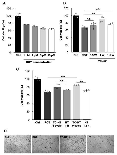 Thermal Cycling-Hyperthermia Attenuates Rotenone-Induced Cell Injury in ...