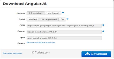 AngularJS Setup 的图像结果