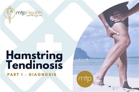 Hamstring Bursitis at Stella Gooseberry blog