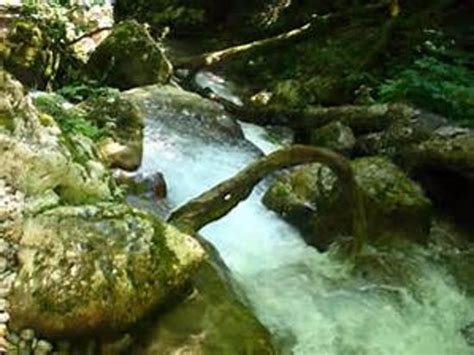 Montetours (Podgorica) - 2022 What to Know Before You Go (with Photos ...