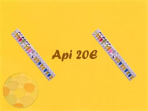 Image result for API 20E Pictogram