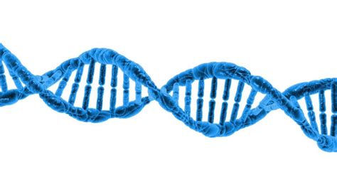 Image result for DNA and Computer Code