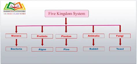 Image result for Flow Chart for Class 5