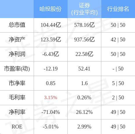 哈投股份（中国综合投资类公司）_摘编百科