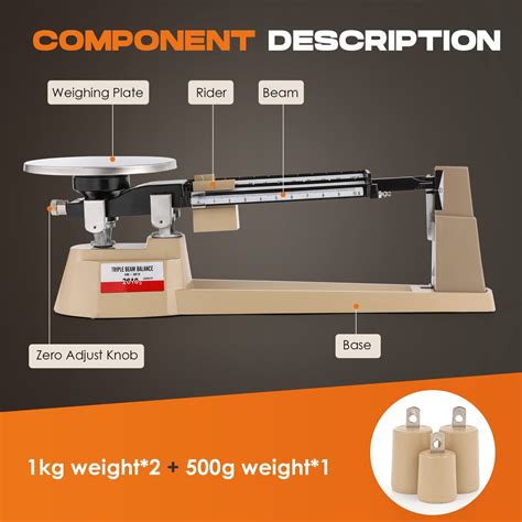 Buy Triple Beam Scale Bonvoisin Lab Mechanical Balance 2610g/0.1g with ...