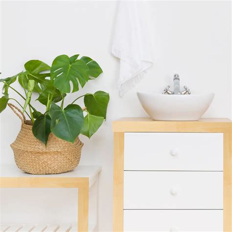 Buy Birch Edge Banding Without Glue 328 ft Roll of Veneer Edge Banding ...