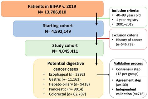 Algorithm In Spanish