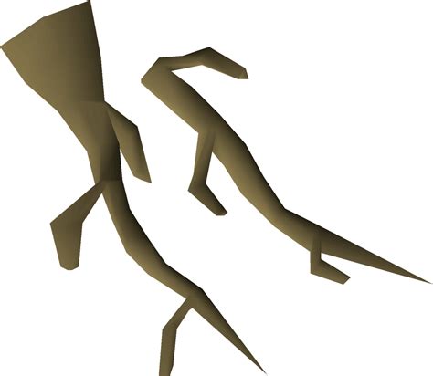 Willow roots - OSRS Wiki