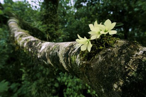 Trekking in Rishop, rishop, India - Top Attractions, Things to Do ...