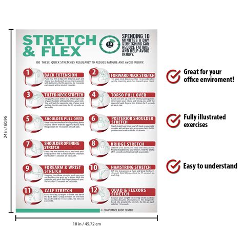 bodeans.com Stretch and Flex 10 Minute Excercise Poster for Work Home ...