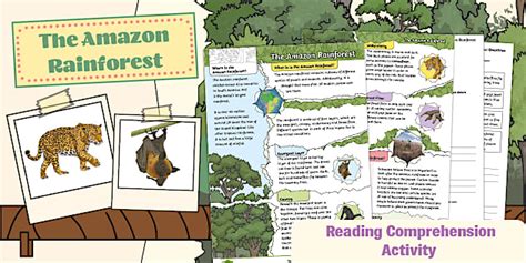 LKS2 The Amazon Rainforest Reading Comprehension Activity