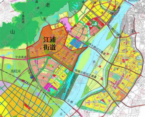 【南京晨报】东南梧桐，叶舞深秋！来这里，看南京最人文的梧桐大道