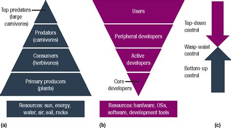 Image result for Primer Ecological Software Tutorial