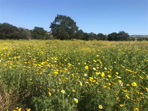 Northwest Open Space - Nature Parks Orange County California