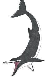 Image result for Ankylorhiza Minecraft Tutorial