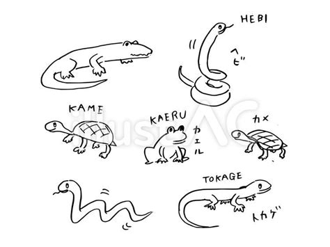 Image result for Read Python