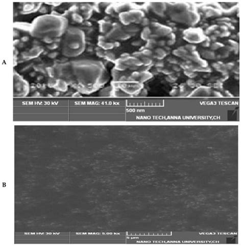 Preparation and Characterization of Novel Polyelectrolyte Liposomes ...
