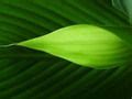 Image result for Merge Sort Recursive Method
