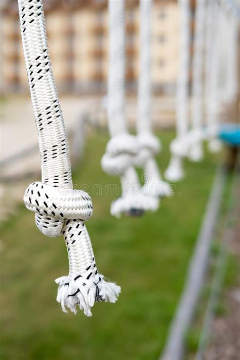 Ropes Course 的图像结果