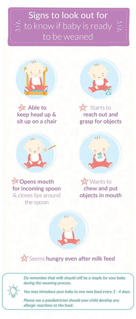 How To Start Weaning For Baby at Janet Moore blog