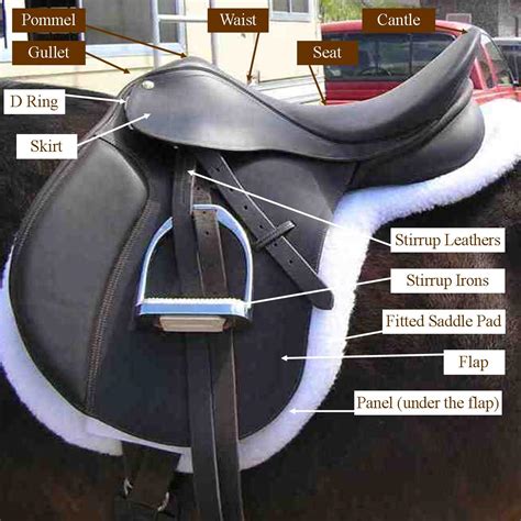 Horse Equipment and Use - White Rose Equestrian