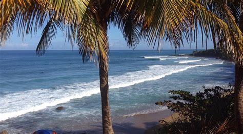 PEÑA'S PALALACE MAYAGÜEZ (Mayaguez) - Lodging Reviews & Photos ...