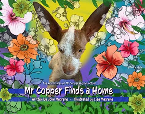 Mr Copper Wigglebottom Finds A Home: A dog adoption story... (The ...
