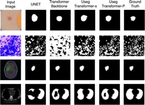 Image result for Local Effects