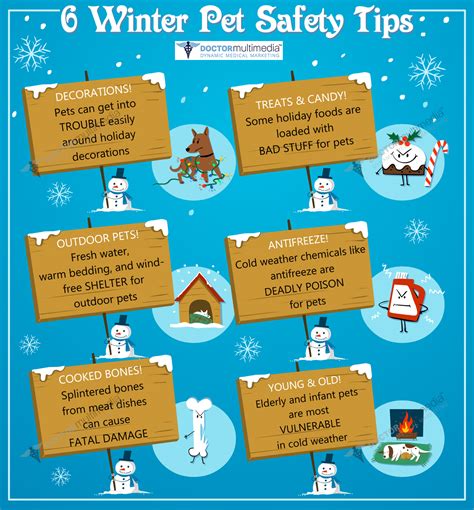 6 Winter Pet Safety Tips | Palmdale Veterinary Hospital