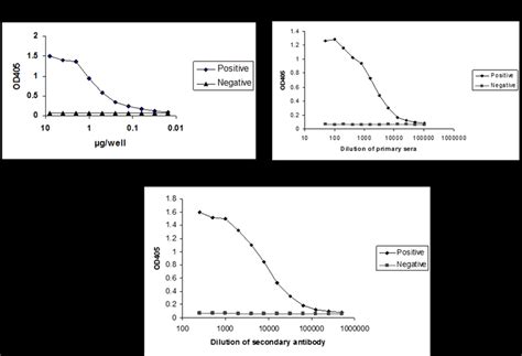 Image result for Optimization Elisa