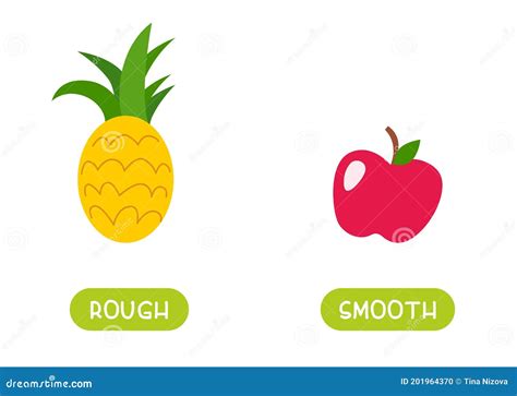 Rough Smooth Opposite Stock Illustrations – 1 Rough Smooth Opposite ...