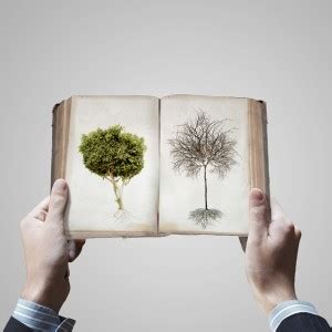 First Botany 的图像结果