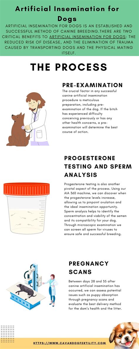 PPT - Artificial Insemination for Dogs PowerPoint Presentation, free ...