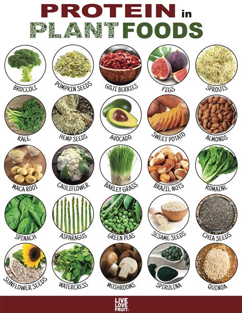 Plant Protein: Your Guide To 24 Protein-Packed Plant Foods! - Live Love ...