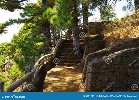 Mirador De Las Playas Located In Pine Tree Forest On El Hierro Island. Spectaculate Views From ...