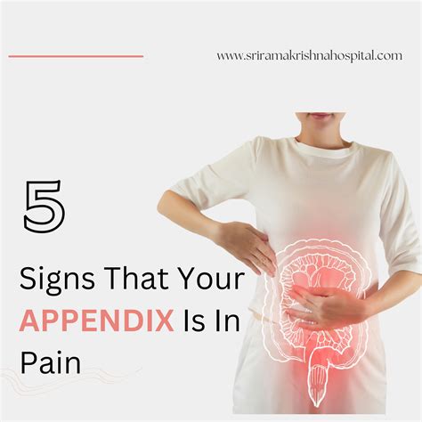 Appendix