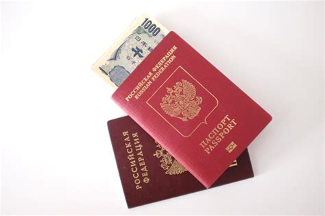 俄罗斯护照照片-正版商用图片0k9vxr-摄图新视界