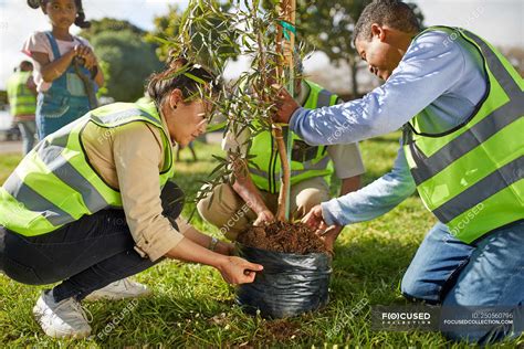Tree-Planting Activity 的图像结果